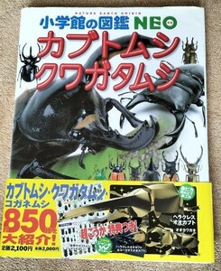 小学館の図鑑 NEO カブトムシ・クワガタムシ