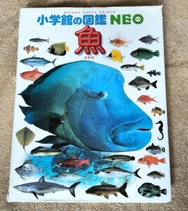 小学館の図鑑 NEO 魚 さかな