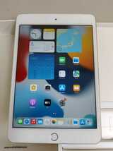 タブレット Apple iPad mini4 MK712J/A 16GB Wi-Fi+Cellular ドコモ 〇判定 ゴールド A1550 バージョン15.6_画像5