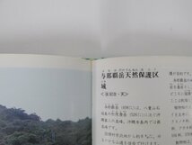 ★0.03　【おきなわ文化財図鑑　国・県指定及び選択　沖縄　琉球　文化　1981年】 02208_画像5