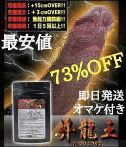 ☆昇龍王 1袋 !男性! バカ売れ Lシトルリン 精力No.1サプリ 飲み方大事 GNT-α 早漏ED 妊活 マカ 増大 持続力 精力剤
