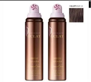 ヘアボーテ エクラ ボタニカル エアカラーフォーム ダークブラウン