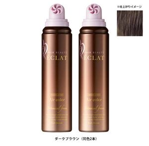 ヘアボーテ エクラ ボタニカル エアカラーフォーム ダークブラウン