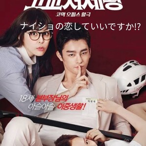 韓国ドラマBlu-ray版 ナイショの恋していいですか!? 日本語字幕