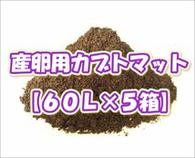 産卵用カブトマット60L【５箱】_画像1