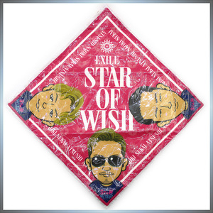 EXILE ハンドタオル ピンク ◆ LIVE TOUR 2018-2019 STAR OF WISH カプセル ／ 1点 美品