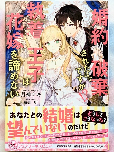 婚約破棄されたはずですが！？　執着王子は花嫁を諦めない