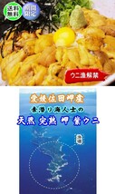 愛媛 天然 殻付き 生ウニ 約24～32個 4kg 期間限定 8月上旬～10月末 紫ウニ 赤ウニ 素潜り海士 送料無料 浜から直送 宇和海の幸問屋_画像10