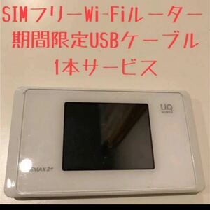 SIMフリー モバイルwifiルーター　wx05 白　ホワイト