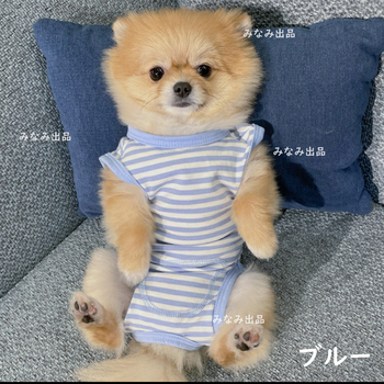 Лот аукциона Yahoo 【青色L】猫犬 術後服 ウェア 雄雌兼用 エリザベスカラーの代わりに 舐め防止 エリザベスウェア 去勢避妊手術