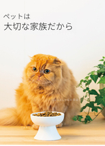 【ピンク1点】陶器製フードボウル 猫犬 ペット用食器 おやつ 餌入れ 水 餌皿_画像10