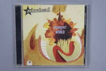 zebrahead　BROADCAST TO THE WORLD　CD　送料180円_画像1