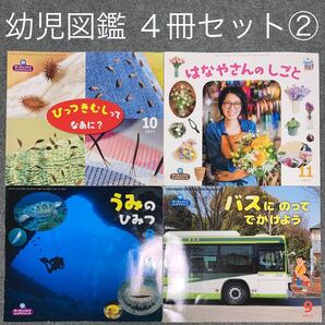 【シール付】幼児図鑑 4冊セット② まとめ サンチャイルド ビッグサイエンス 読み聞かせ 子供絵本 知育 幼児 幼稚園 保育園