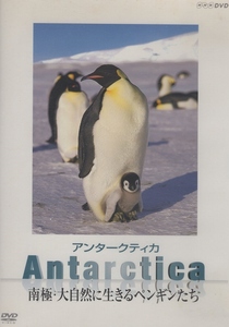 アンタークティカ Antarctica 南極・大自然に生きるペンギンたち / 2005.12.22 / NHK・動物ドキュメンタリー / DVD / NSDS-9560