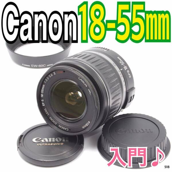入門レンズ キヤノン Canon EF-S 18-55mm（No.518）