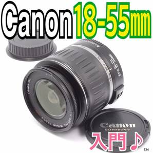 入門レンズ キヤノン Canon EF-S 18-55mm（No.534）
