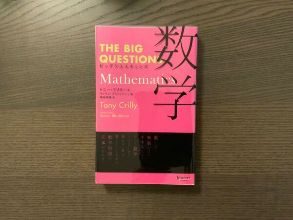 THE BIG QUESTIONS Mathematics