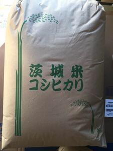 令和3年 茨城 茨城県産 JGAP認定農場　特別栽培米　こしひかり コシヒカリ 無農薬 30kg 低温貯蔵庫 玄米 米 ご飯