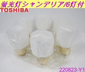  pickup limitation * unused Toshiba 6 light fluorescent lamp chandelier FUC 1802-6 lamp 60Hz west Japan exclusive use ceiling lighting lamp interior retro TOSHIBA/ number 220823-Y1