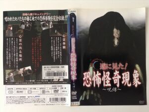 B00998　R中古DVD　心霊THEドキュメント 遂に見た！恐怖怪奇現象～呪縛～　ケースなし(ゆうメール送料10枚まで180円)