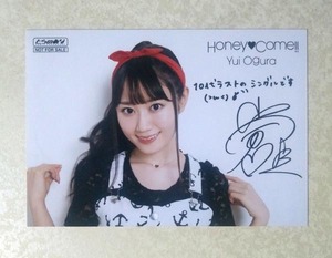 小倉唯 Honey Come!! とらのあな 特典 生写真 ブロマイド 