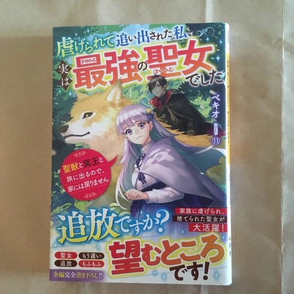 虐げられて追い出された私、実は最強の聖女でした　聖獣と冥王と旅に出るので、家には戻りません ベキオ／著