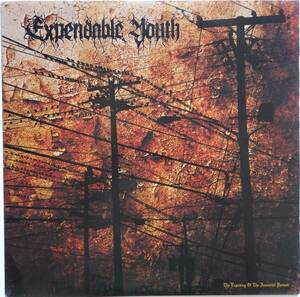 【USシカゴ産ハードコア/スプラッターヴァイナル/限定500枚プレス】 EXPENDABLE YOUTH / The Exposing Of The Immortal Person