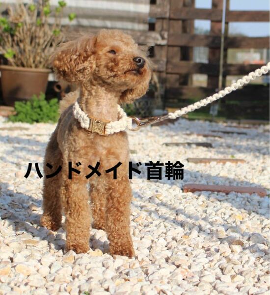 ☆☆犬用 小型犬 中型犬 大型犬 オシャレ ハンドメイド 可愛い 首輪ホワイト