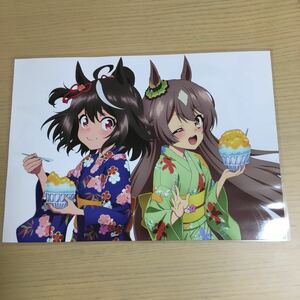 ウマ娘　ラミネート　A4サイズ　加工品　dはほ