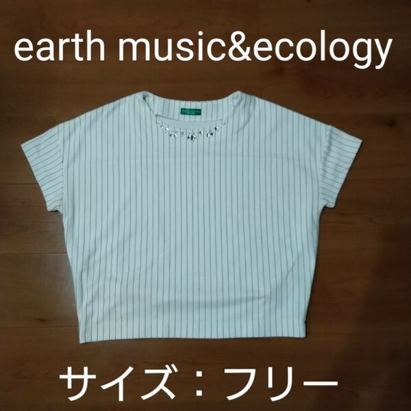 earth music&ecology　ストライプTシャツ