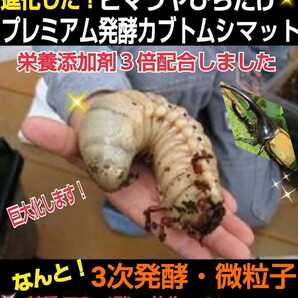 幼虫巨大化!ギネスサイズ出てます!進化した!プレミアム3次発酵カブトムシマット【50L】特殊アミノ酸、バクテリア強化配合!産卵にも抜群