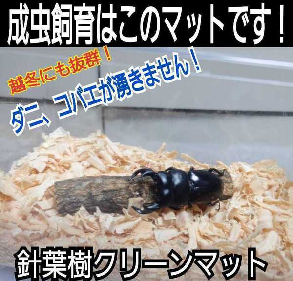 クワガタ、カブトムシの成虫管理はこれが一番!爽やかな香りの針葉樹マット☆ケース内が明るくなり生体が目立ちます☆ダニがわきません!