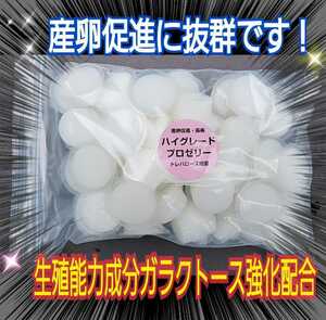 特選ハイグレードプロゼリー【50個】特殊アミノ酸強化配合！産卵促進・長寿・体力増進に抜群！オスも食べやすいワイドカップ　昆虫ゼリー