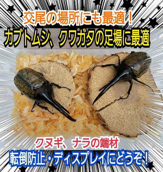 クヌギ・ナラの端材【5~6個】クワガタ、カブトムシの交尾の場所に最適!足場、とまり木、転倒防止、隠れ家、ディスプレイにも抜群です!