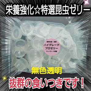 特選ハイグレードプロゼリー【50個】特殊アミノ酸強化配合！産卵促進・長寿・体力増進に抜群！オスも食べやすいワイドカップ　昆虫ゼリー