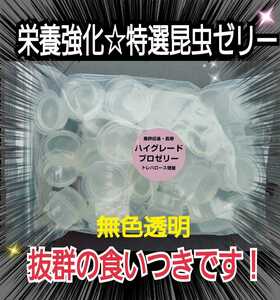 特選ハイグレードプロゼリー【50個】特殊アミノ酸強化配合！産卵促進・長寿・体力増進に抜群！オスも食べやすいワイドカップ　昆虫ゼリー