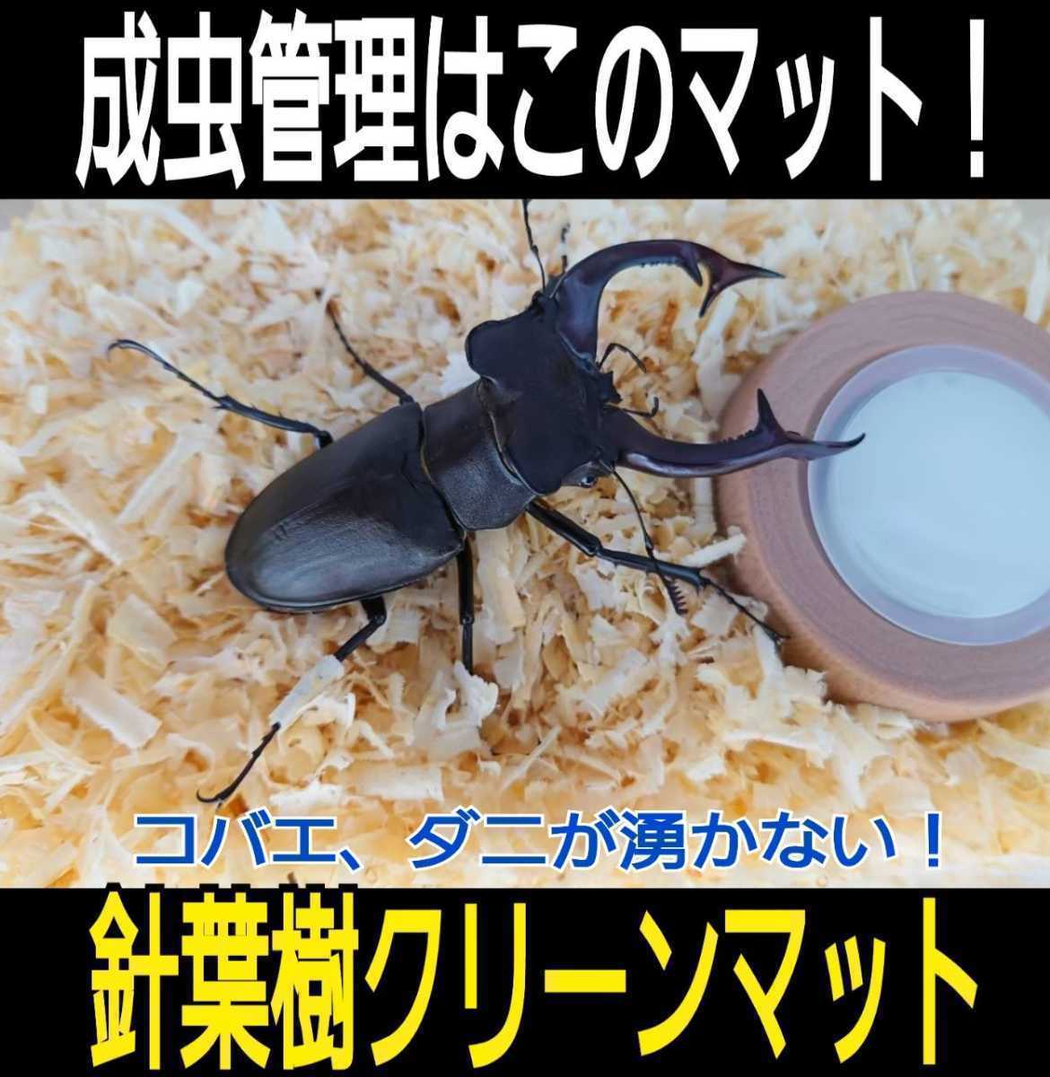 ☆ショッピング公式☆ クワガタ、カブトムシ飼育 クリアボトル 1600cc