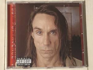 Iggy Pop イギー・ポップ / Avenue B ☆ Don Was