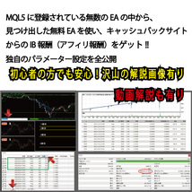 【キャッシュバック戦略】★口座縛り無し★FX無料EA★自己アフェリFX自動売買 IB EURUSD ゴールド 金 不労所得 投資 副業 MT4 XM_画像7