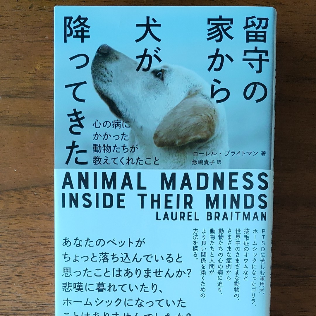1着でも送料無料 犬と猫の心臓病学 上巻下巻獣医循環器認定医