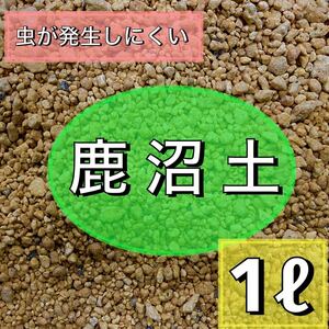 上質鹿沼土　2リットル　小粒 多肉植物 サボテン 観葉植物 土　ガーデニング　アガベ　エケベリア　玉扇