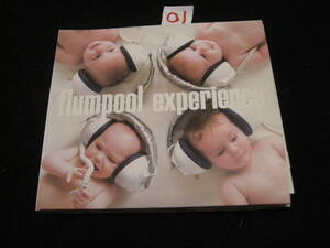 ０１CD!　 experience 初回限定盤【CD+DVD】flumpool 