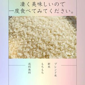 送料無料 白米 10kg お米　　茨城県産　美味しいお米　家計応援米　ご飯　ふっくらご飯