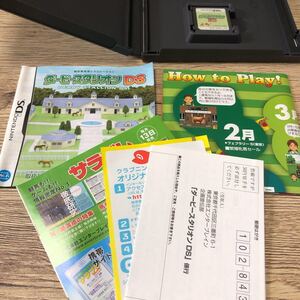 ダービースタリオン DS