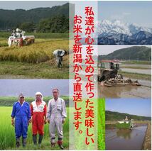 令和3年　新潟県三条市しただ産　減農薬　新潟県認証　特別栽培米コシヒカリ玄米30kg 白雪美人　グルテンフリー　送料無料_画像6