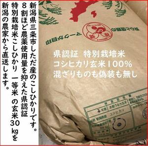 令和3年　新潟県三条市しただ産　減農薬　新潟県認証　特別栽培米コシヒカリ玄米30kg 白雪美人　グルテンフリー　送料無料