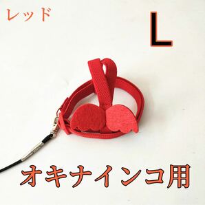 オキナインコ用放鳥ハーネス　L レッド