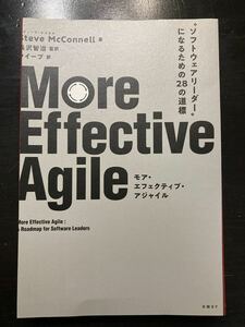 【裁断済】More Effective Agile