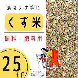 【大容量】くず米 25kg 青米 小米 肥料 鳥の餌 飼料米 玄米 お得 安い おすすめ 選別 福岡県産 鳩 小動物 にわとり