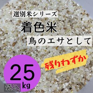 【残り1セット】着色米 くず米 25kg 米・雑穀 鳥の餌 飼料 お得 安い おすすめ 色彩選別